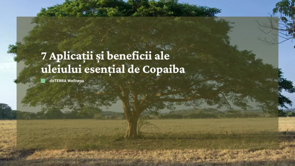 7 Aplicații și beneficii ale uleiului de Copaiba